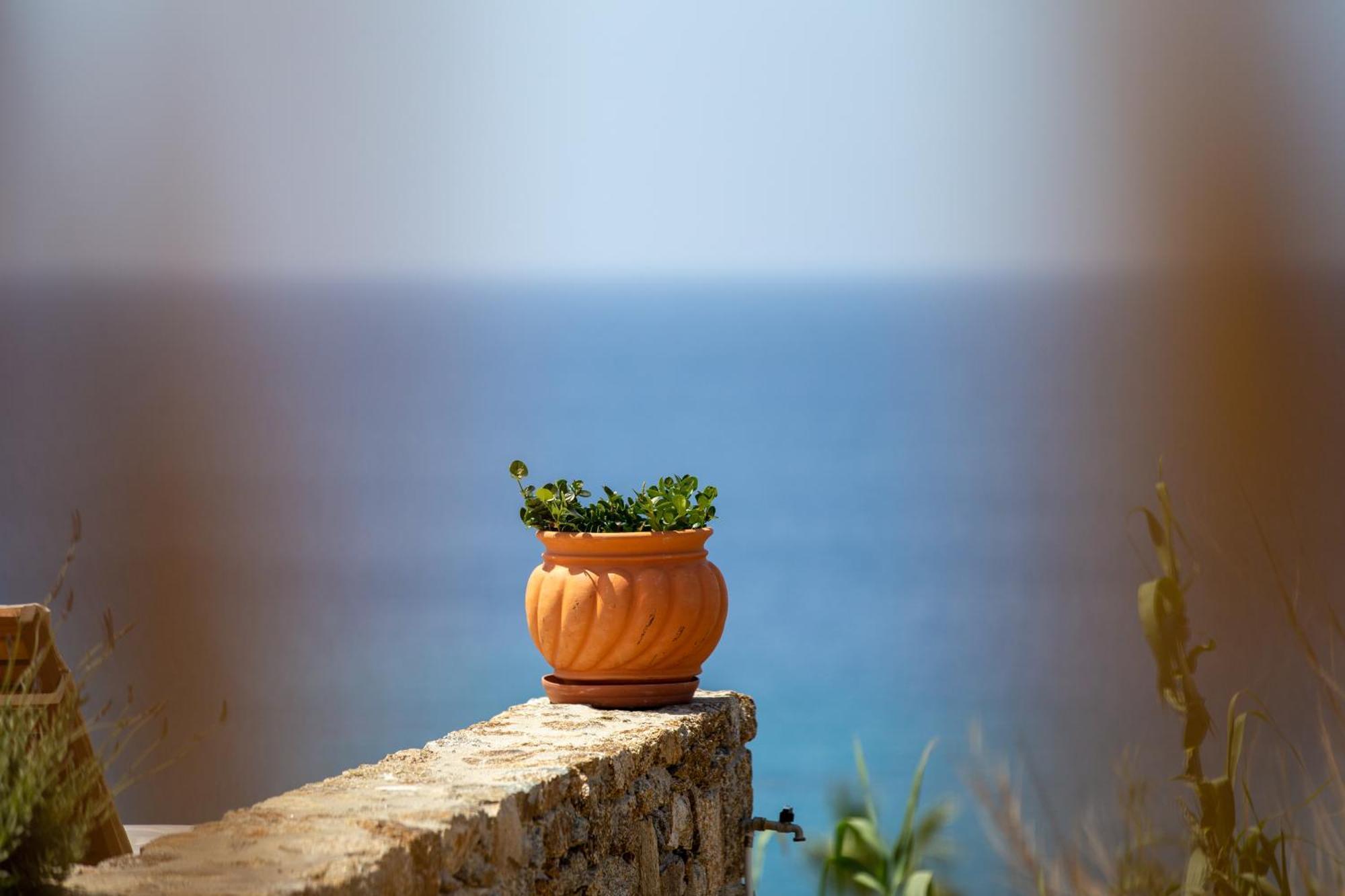 Only Yours , Mykonos Paraga  Exterior photo